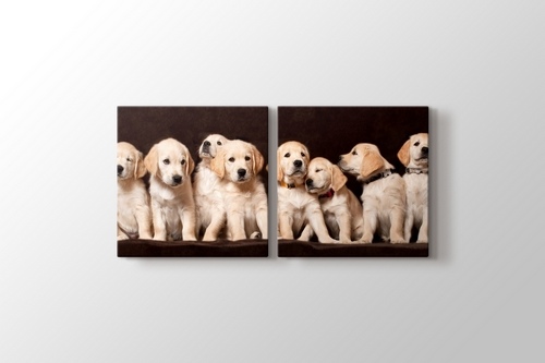 Köpek Yavruları görseli.