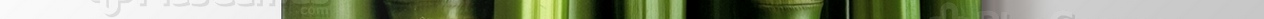 Bamboo görseli.