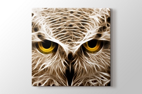 CloseUp Owl görseli.