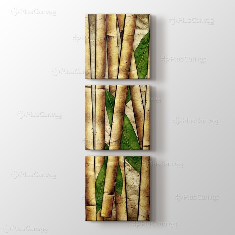 Bamboo görseli.