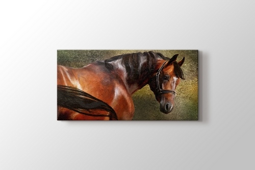 The Thoroughbred görseli.