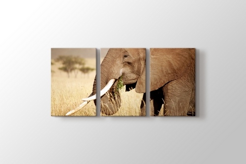 Elephant Eating görseli.