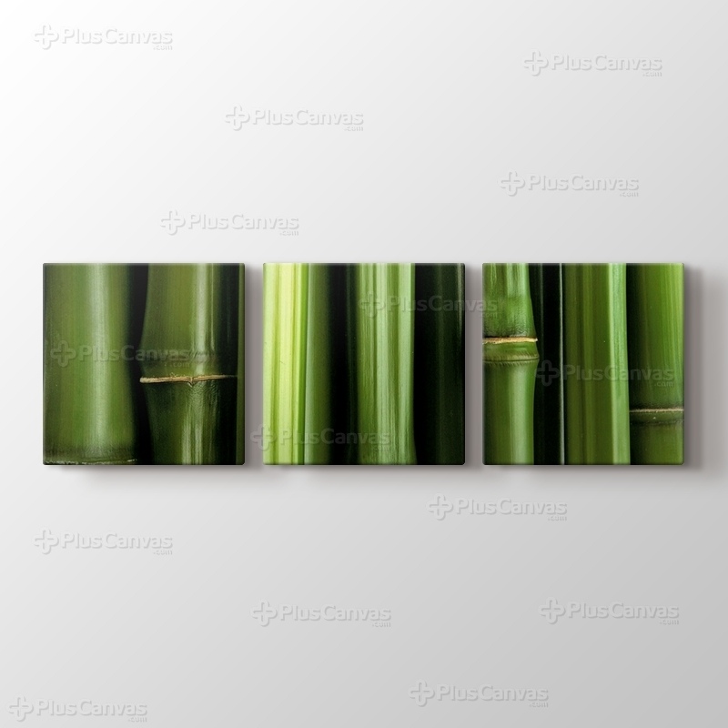 Bamboo görseli.