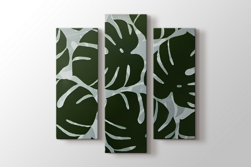 Monstera görseli.
