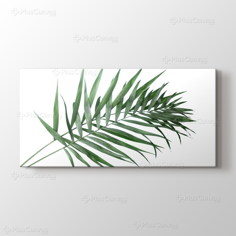 Beautiful Palm Leaves görseli.