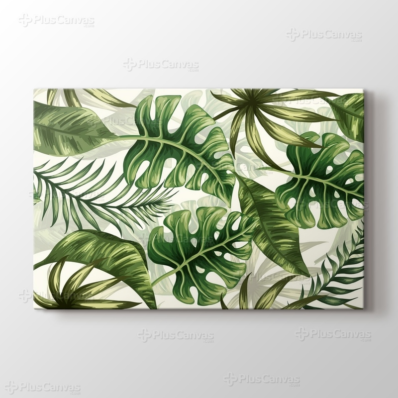 Monstera görseli.