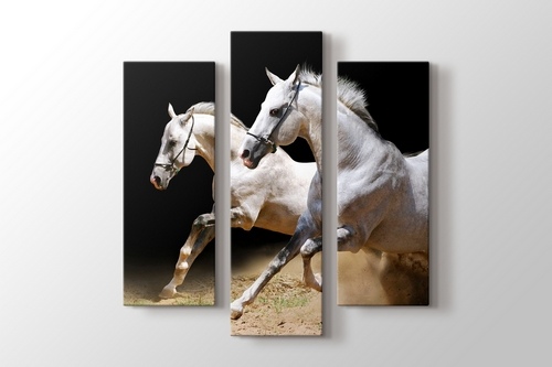 White Horses görseli.