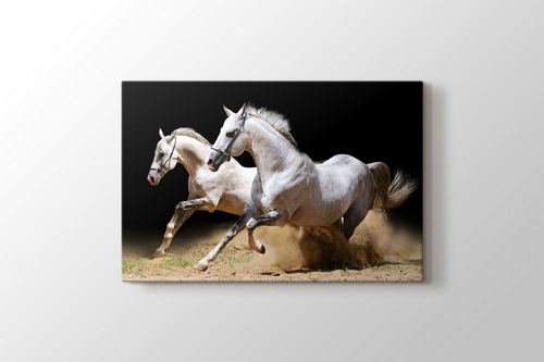 White Horses görseli.