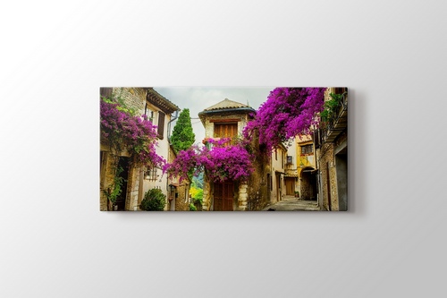 Erguvan Çiçekli Provence görseli.