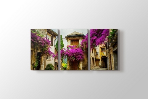 Erguvan Çiçekli Provence görseli.