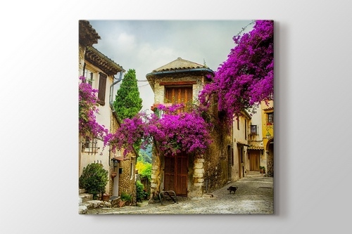 Erguvan Çiçekli Provence görseli.