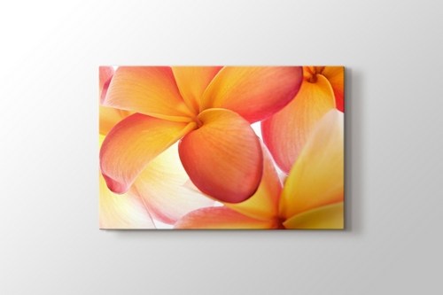 Peachy görseli.