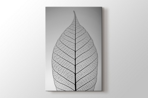 Skeleton Leaf görseli.