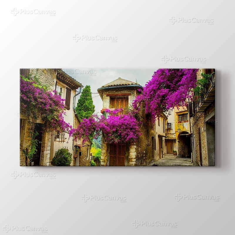 Erguvan Çiçekli Provence görseli.