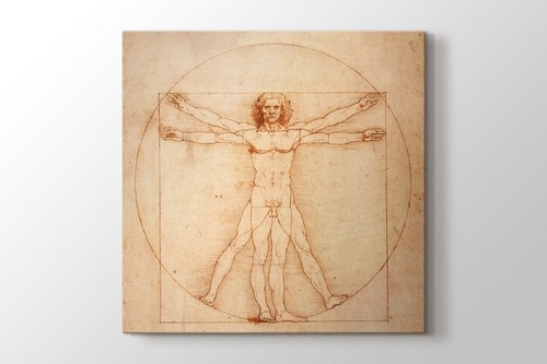 Vitruvian Man görseli.