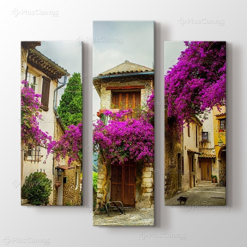 Erguvan Çiçekli Provence görseli.