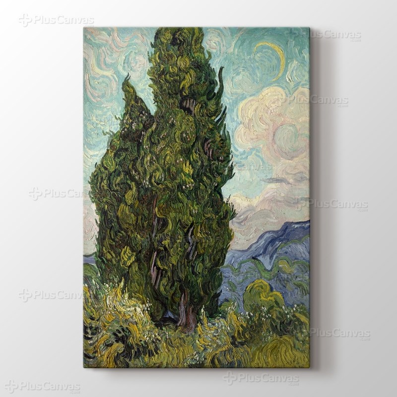 Cypresses görseli.