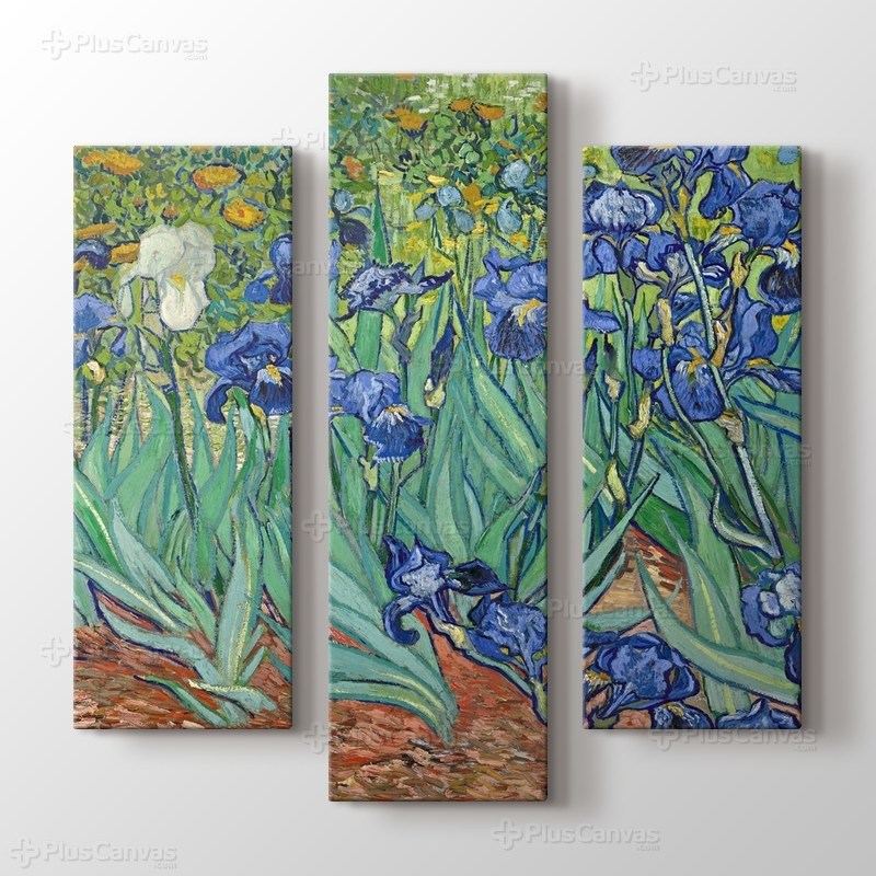Irises görseli.