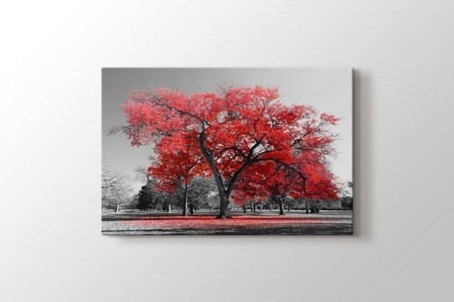 Red Tree görseli.