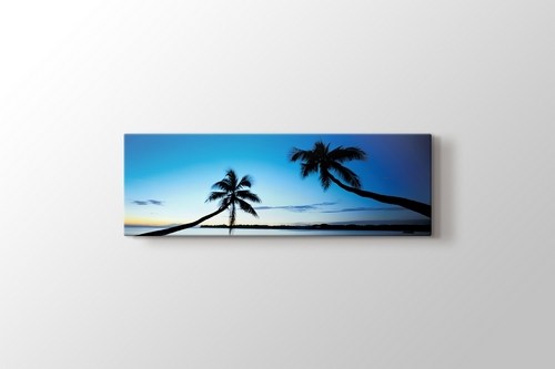 Palms görseli.