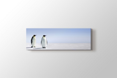 Penguins görseli.