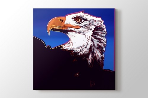 Bald Eagle görseli.