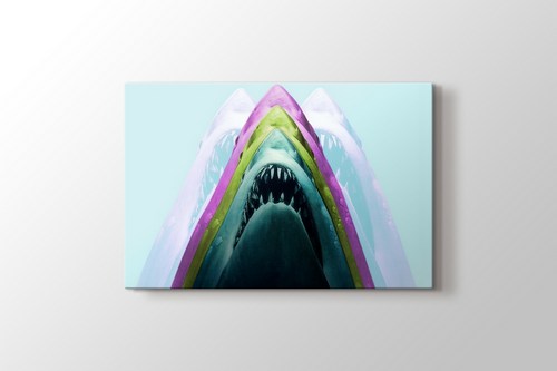 Shark görseli.