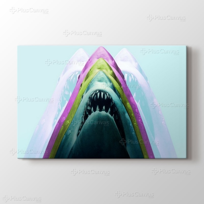 Shark görseli.