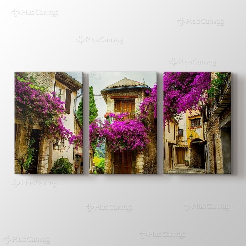 Erguvan Çiçekli Provence görseli.