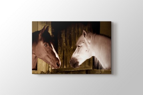 Couple Of Horses görseli.
