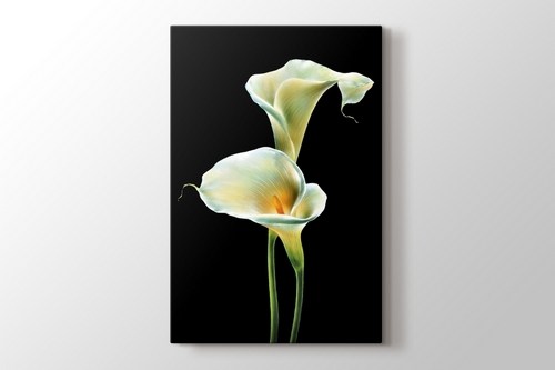 Lillies on Black görseli.
