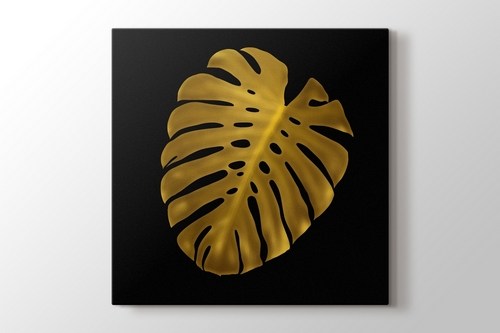 Monstera görseli.