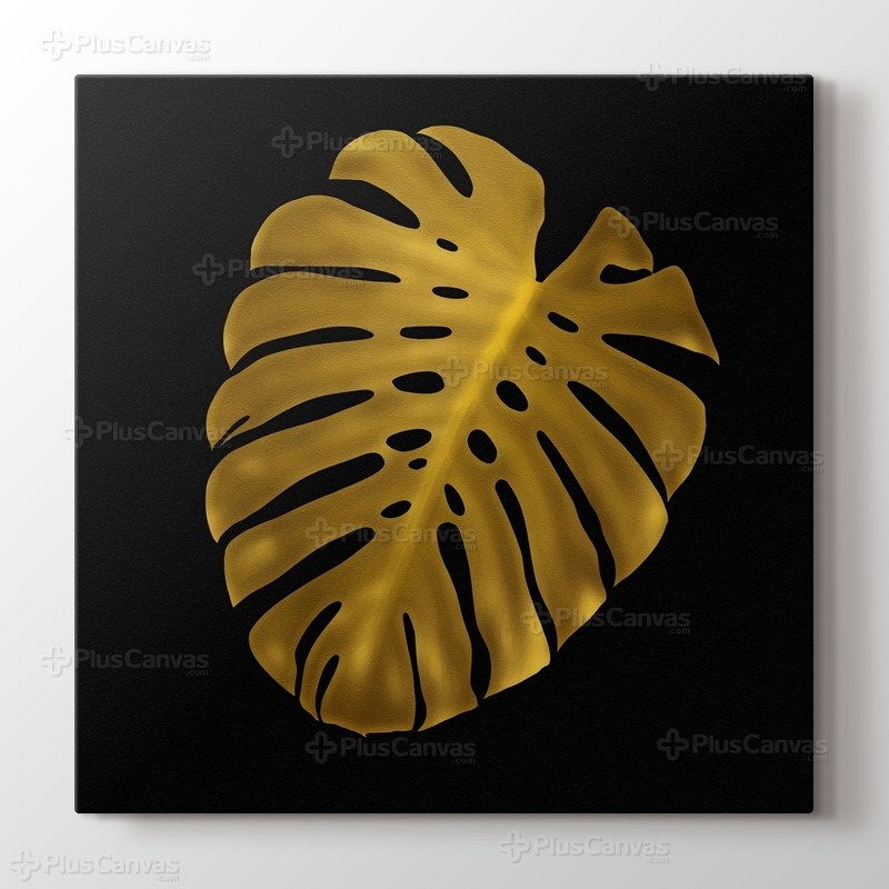 Monstera görseli.