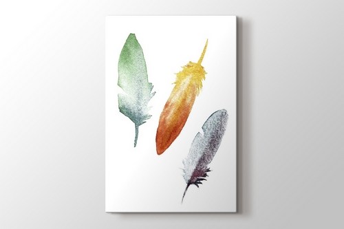 Coloured Feathers görseli.