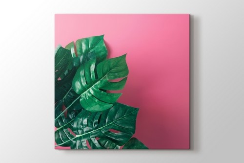 Monstera Leaves görseli.