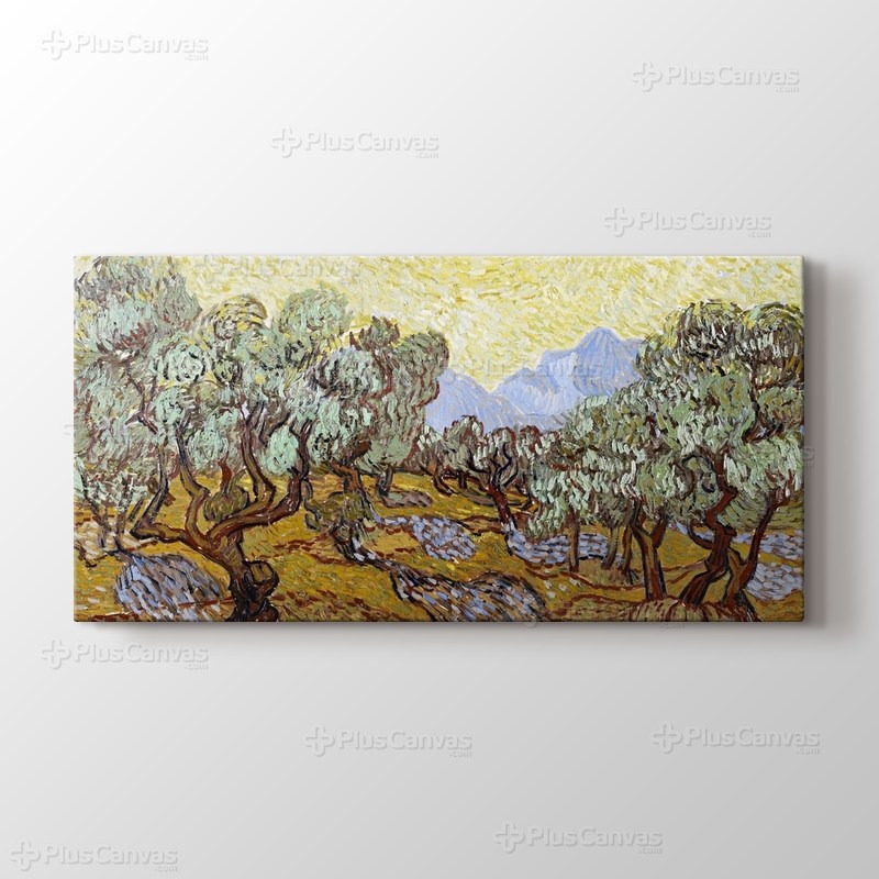 Olive Trees görseli.