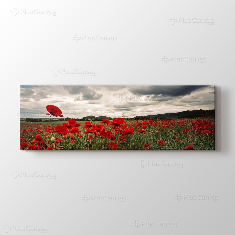 Poppy Field görseli.