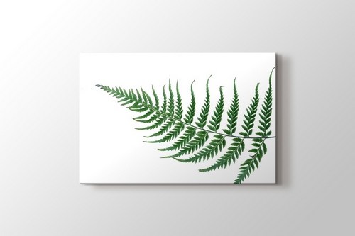 Fern Leaf görseli.