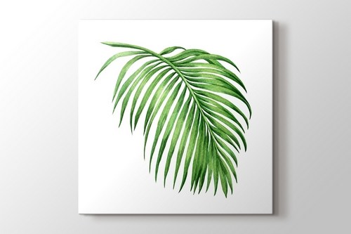 Palm görseli.