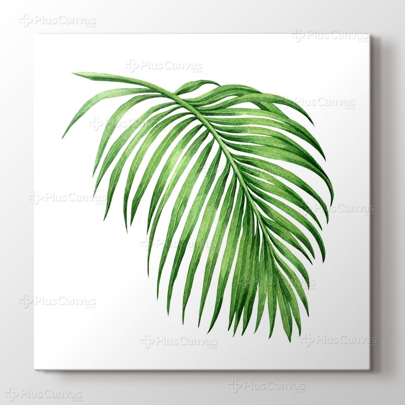 Palm görseli.