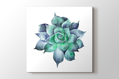 Watercolor Sukkulent görseli.