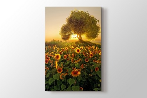 Sunflower görseli.