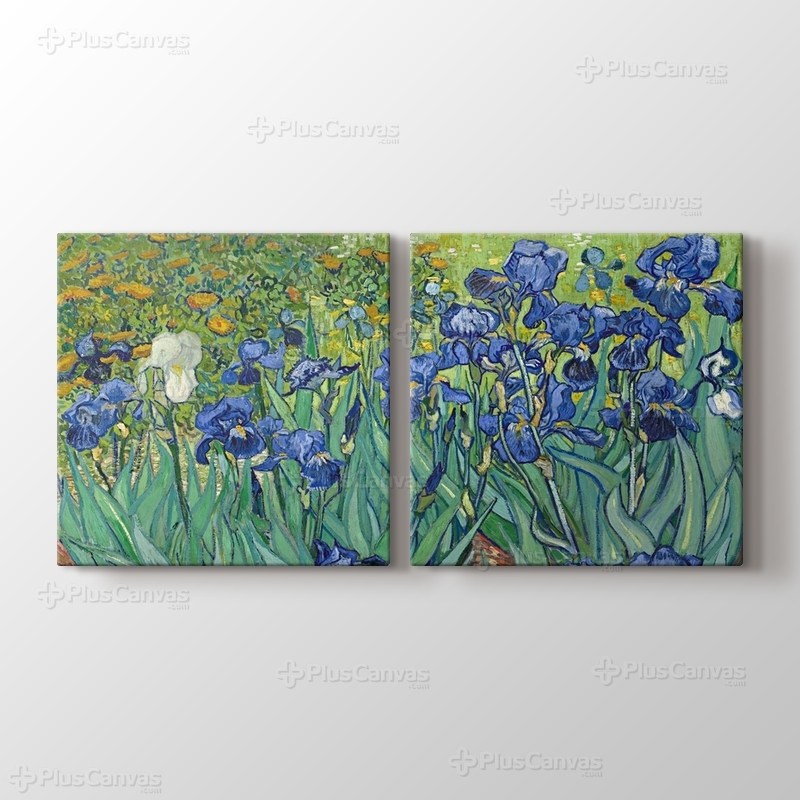 Irises görseli.