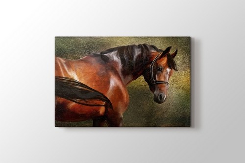 The Thoroughbred görseli.