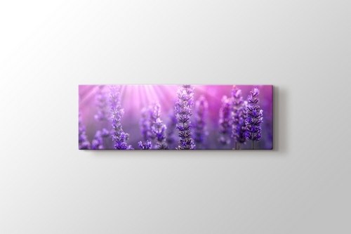 Lavender görseli.