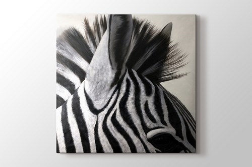 Zebra görseli.