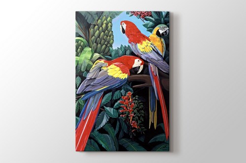 Parrots görseli.