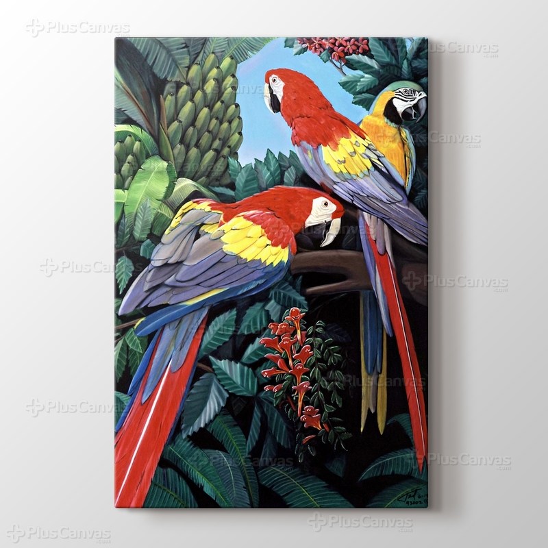 Parrots görseli.