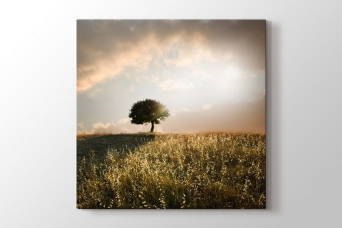 Loner Tree görseli.