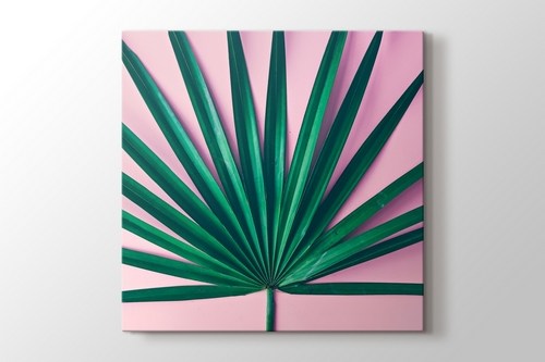 Palm Pink görseli.